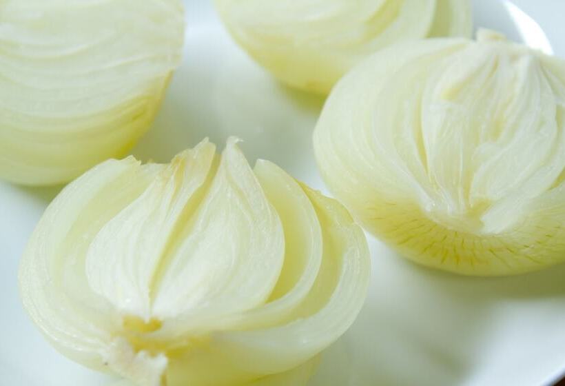 ريوكان Yugawara Retreat Goen No Mori