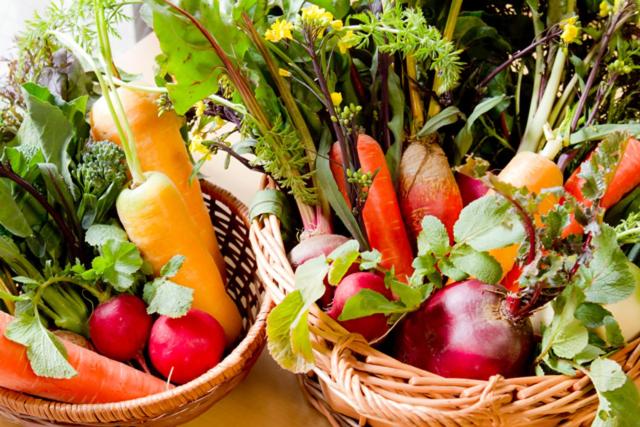 ريوكان Yugawara Retreat Goen No Mori