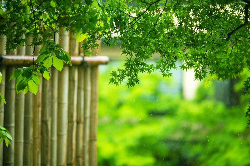 Рёкан Nansuikaku