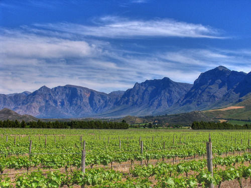 Seven Oaks Vineyard Cottages