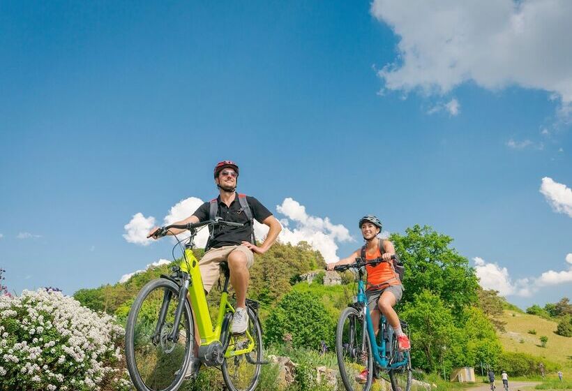 Altstadthotel Guesthouse Die Galerie