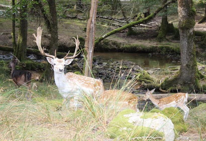 ベッドアンドブレックファースト Auberge De La Normandie