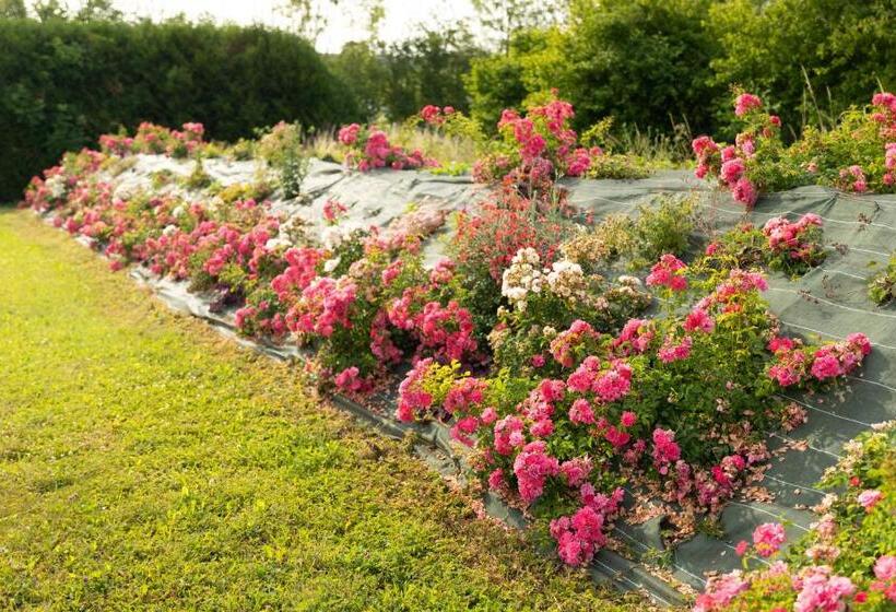 ベッドアンドブレックファースト Chambre D Hôte Les Ondines