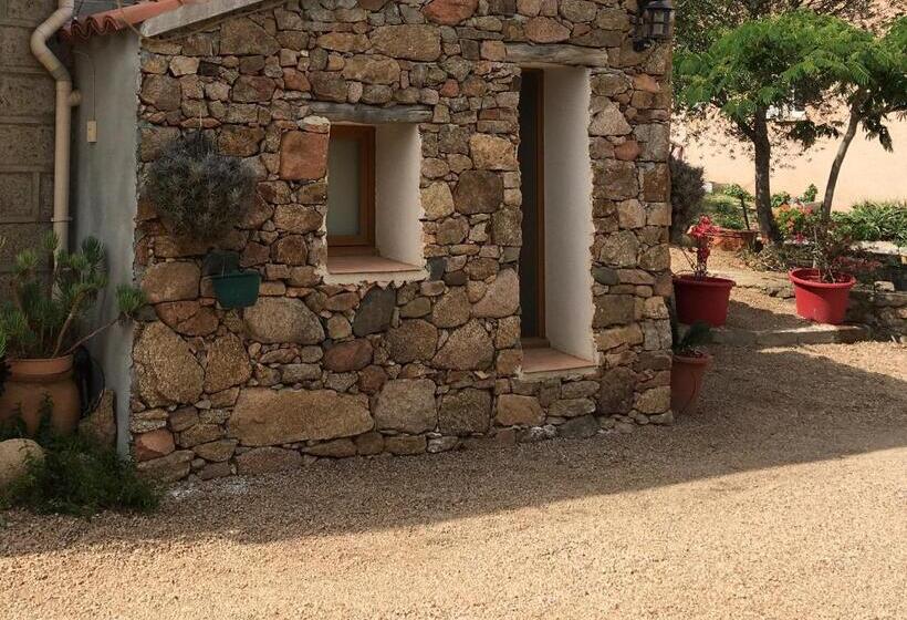 ベッドアンドブレックファースト Caseddu Di Chjarastella