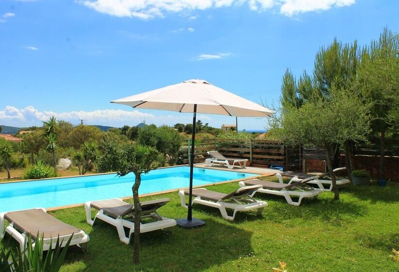 ベッドアンドブレックファースト Caseddu Di Chjarastella