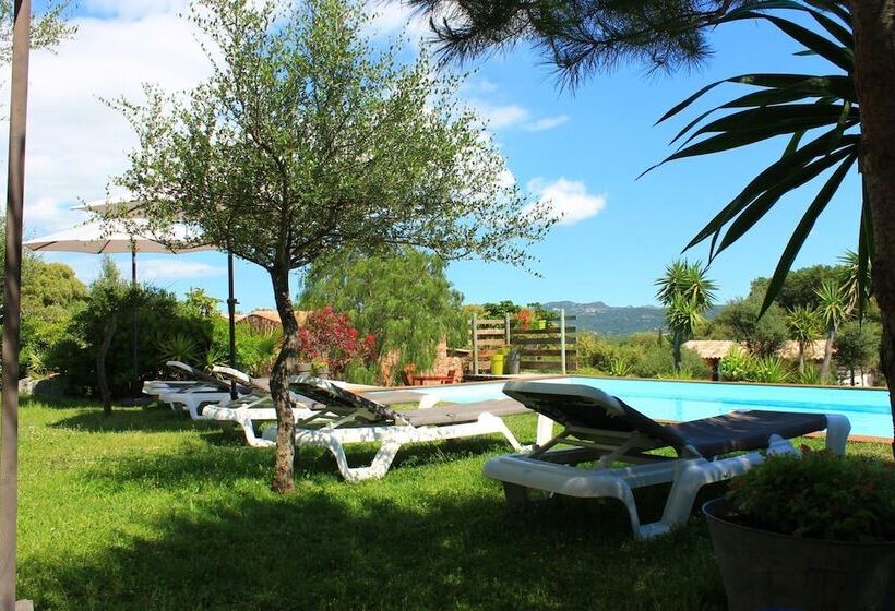 ベッドアンドブレックファースト Caseddu Di Chjarastella