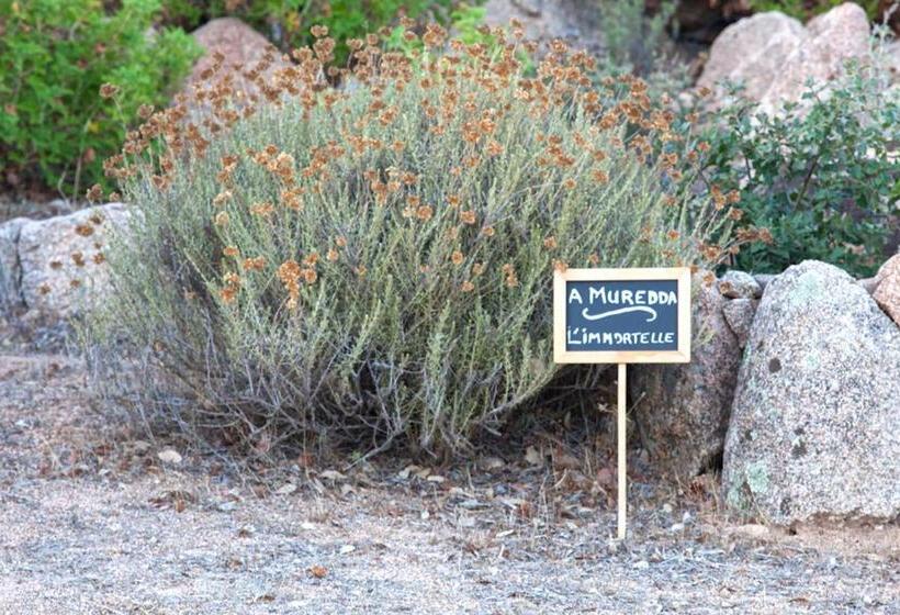 민박 Chambres D Hôtes Casa Di L Oru
