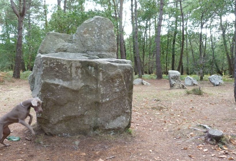 Bed and Breakfast Chambres D Hôtes De Kerpunce