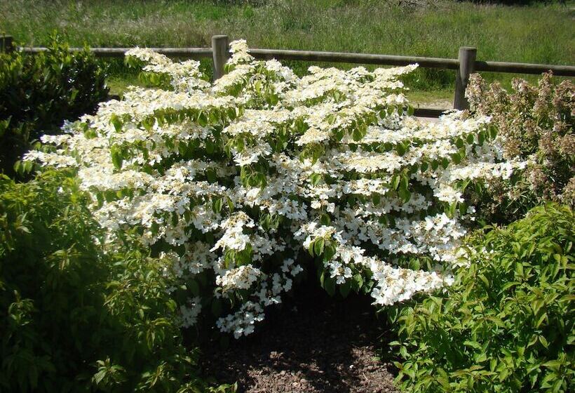 ベッドアンドブレックファースト Chambres D Hôtes Les Laitières