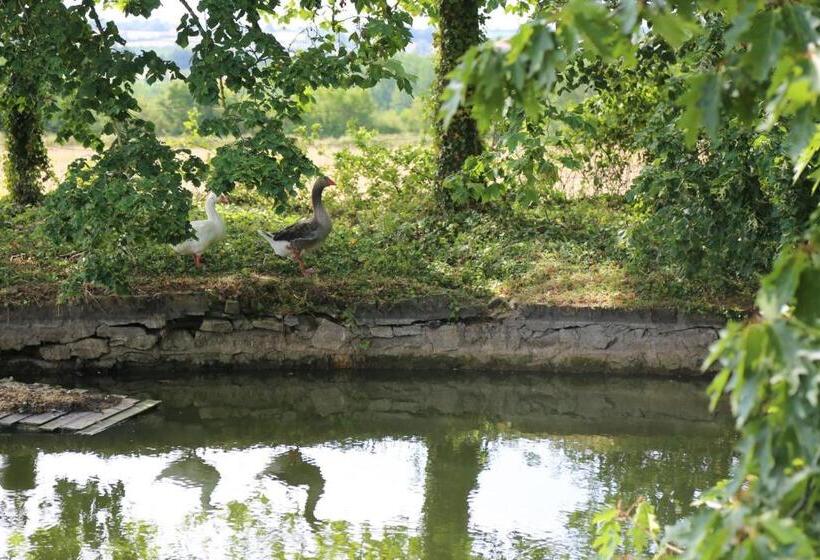 ベッドアンドブレックファースト Château De La Frogerie