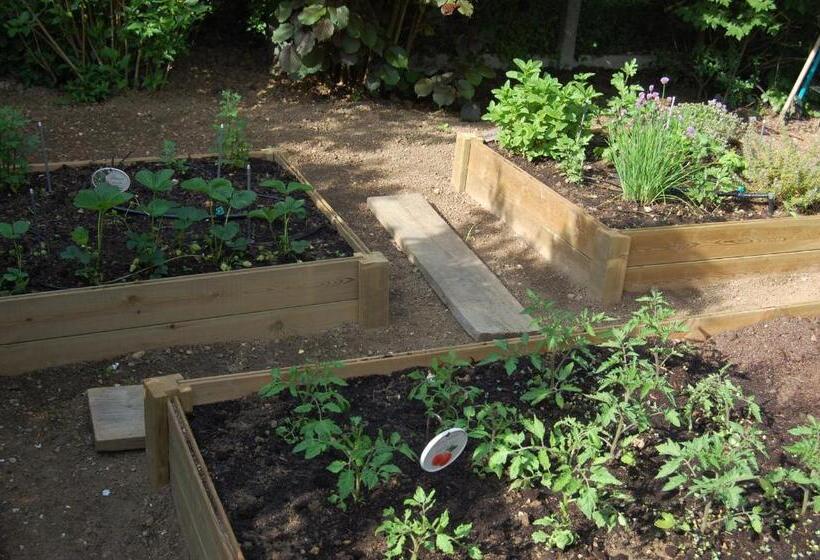 ベッドアンドブレックファースト Couette Et Cafe Creme