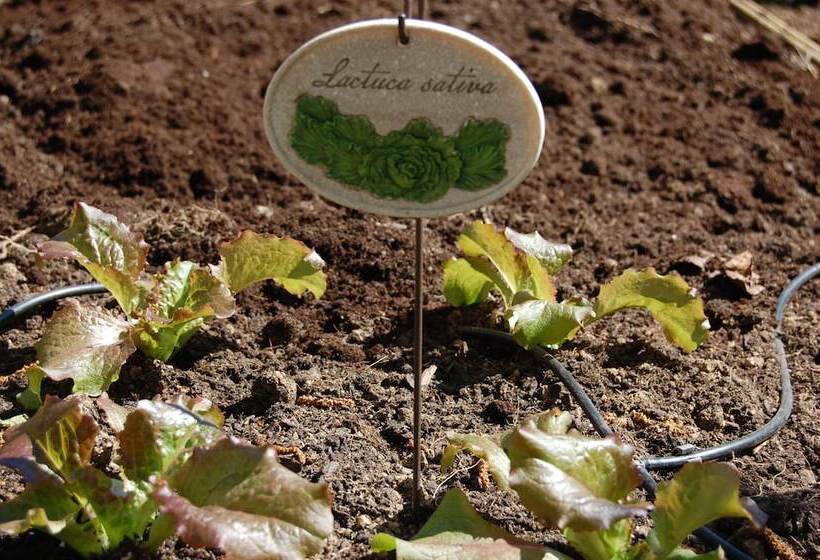 ベッドアンドブレックファースト Couette Et Cafe Creme