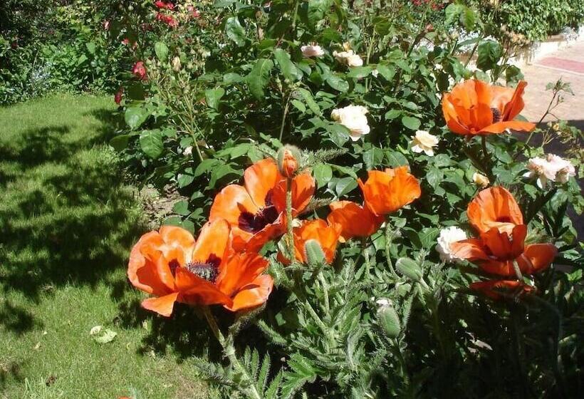 ベッドアンドブレックファースト Couette Et Cafe Creme