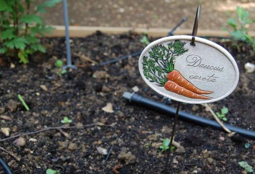 ベッドアンドブレックファースト Couette Et Cafe Creme