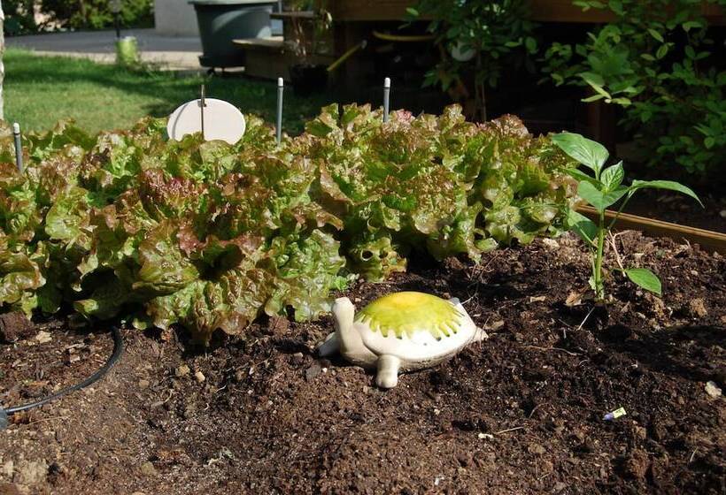 ベッドアンドブレックファースト Couette Et Cafe Creme