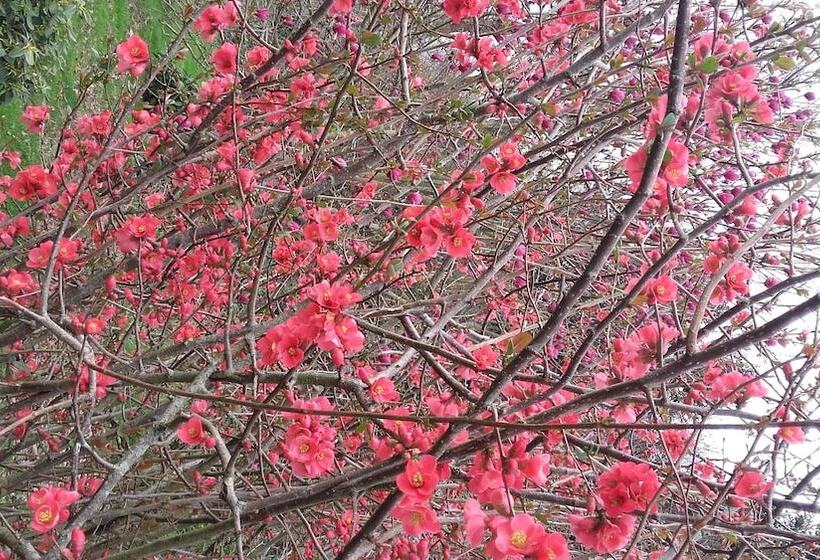 צימר La Maison D'isaphil