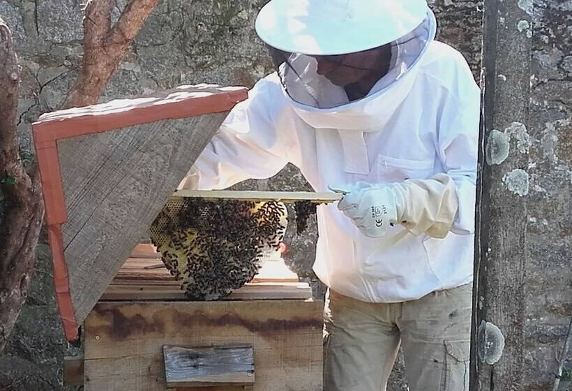 צימר La Maison D'isaphil