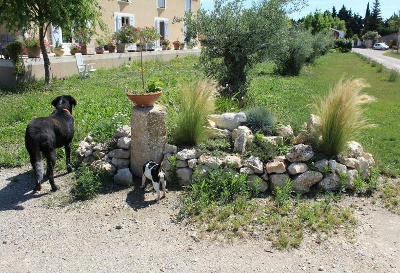مبيت وإفطار La Sarriette   Chambres D Hôtes Et Gîte D étape à Eygalières
