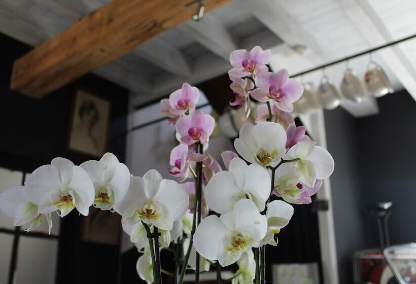 ベッドアンドブレックファースト Le Clos Des Troubadours