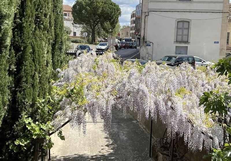 تختخواب و صبحانه Maison Douce Arles