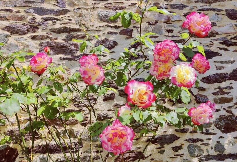 צימר Manoir Le Courtillon