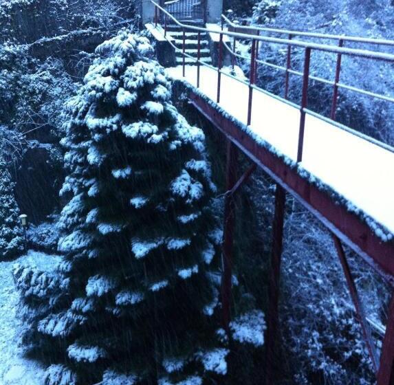 ベッドアンドブレックファースト Minshuku Chambres D'hôtes Japonaises