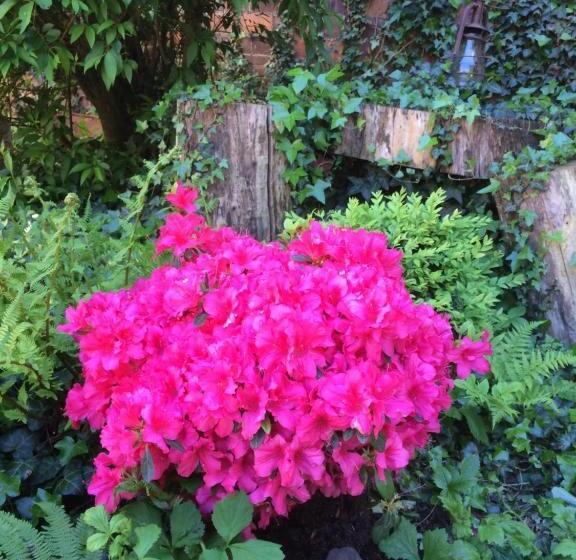 ベッドアンドブレックファースト Minshuku Chambres D'hôtes Japonaises