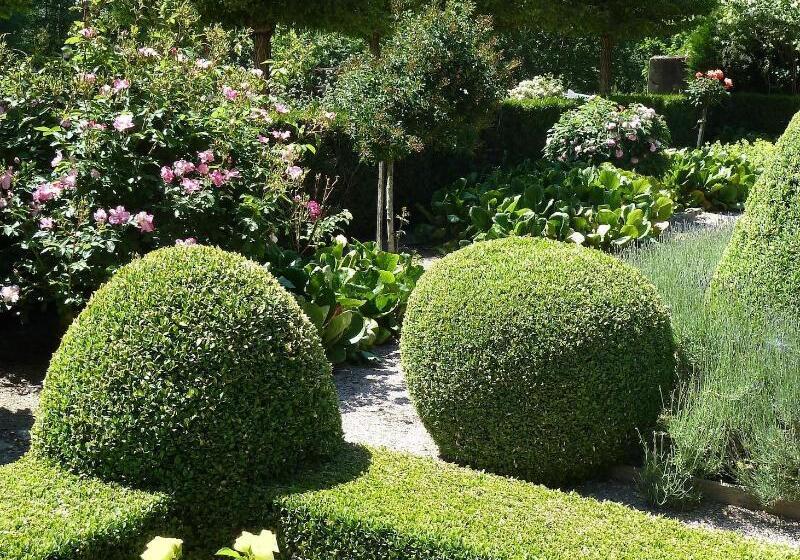 Bed and Breakfast Moulin Renaudiots Maison D Hôtes