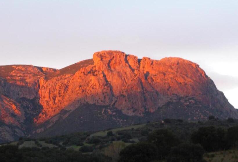 ベッドアンドブレックファースト Perula Di Machja