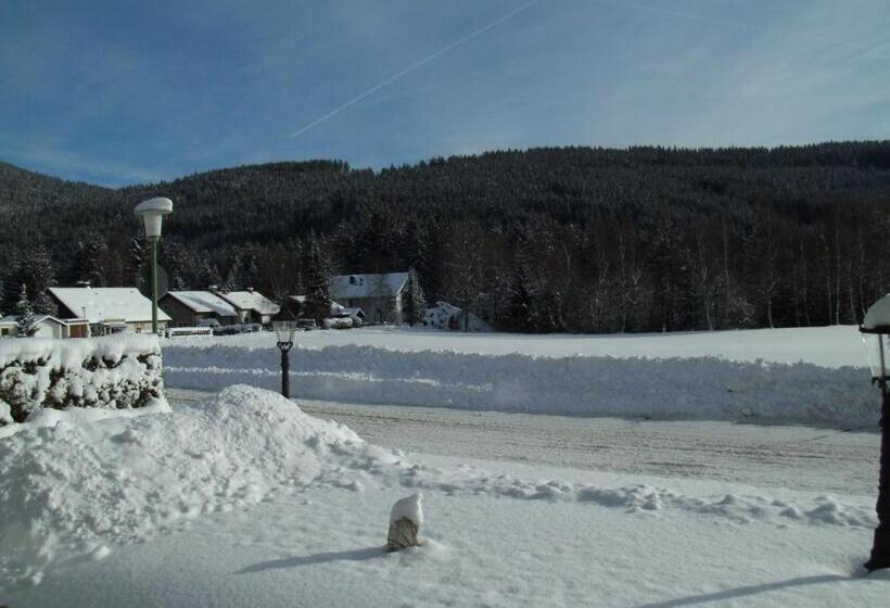 Bed and Breakfast Rheingold Garni