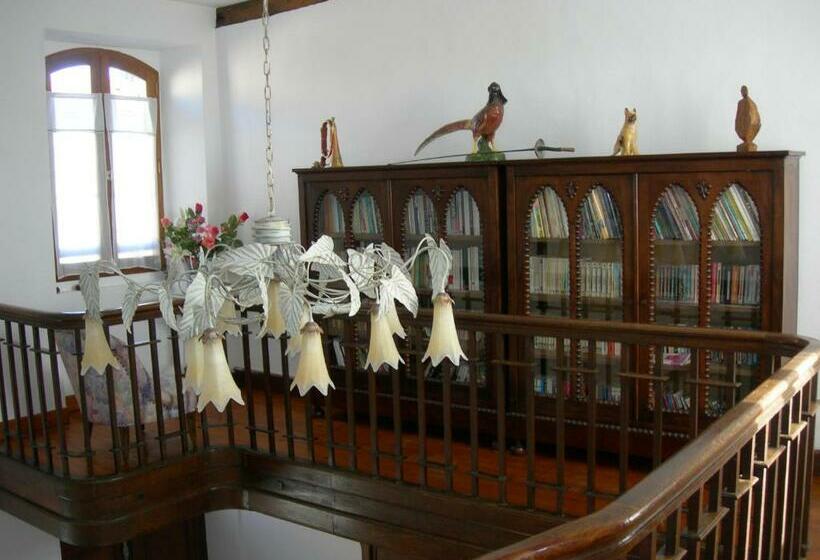 Bed and Breakfast Sous La Glycine