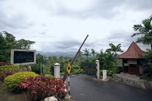 مبيت وإفطار The Victoria Nest Bungalow