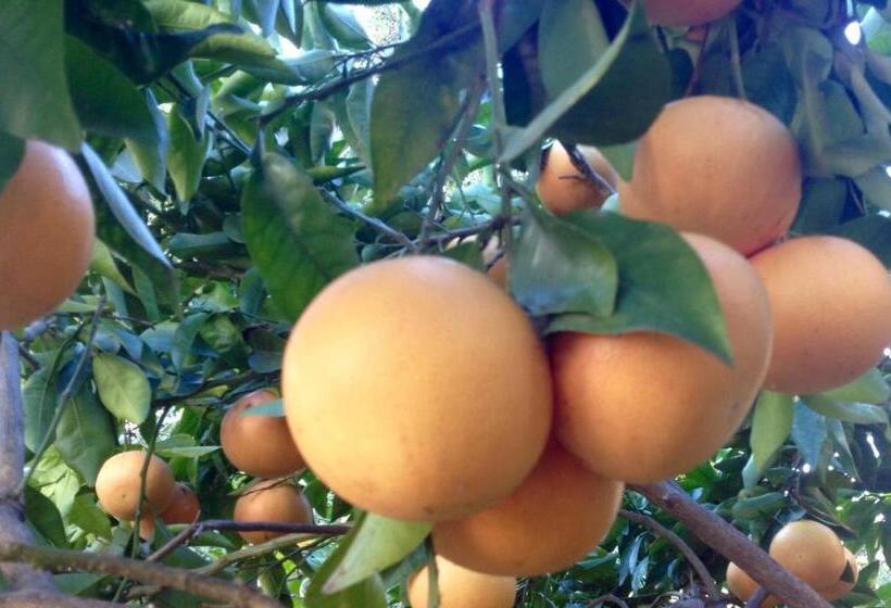 민박 Villa Prétorina