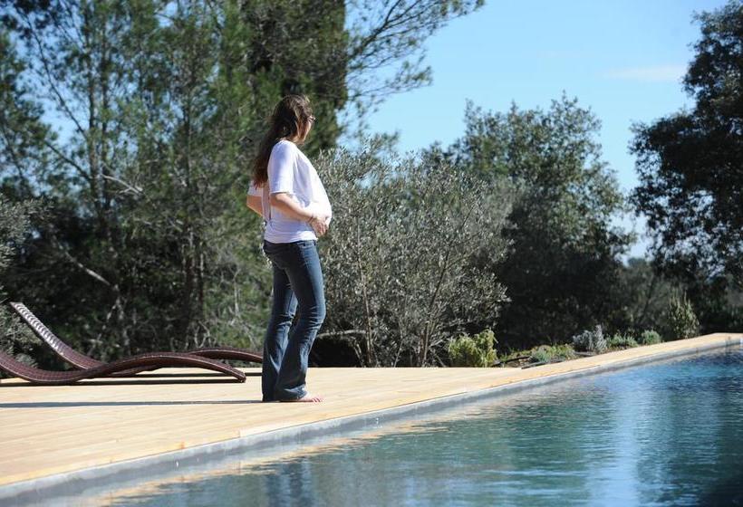 Bien Loin D Ici Spa B&b