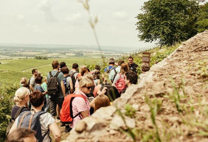 Biobausewein Wein Hotel Leben