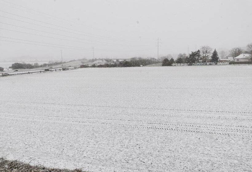 בית מלון כפרי Alpha