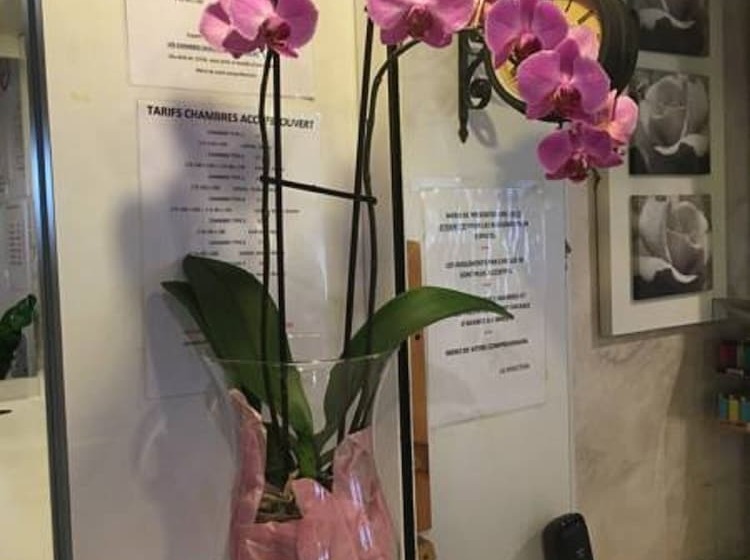 בית מלון כפרי Alpha