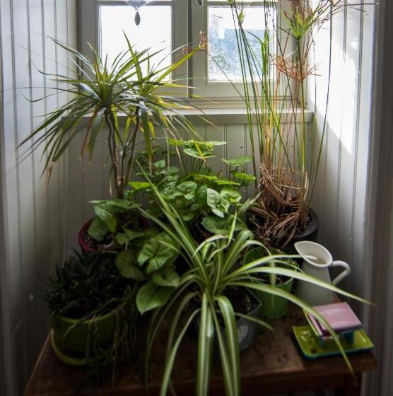 فندق Au Fin Gourmet