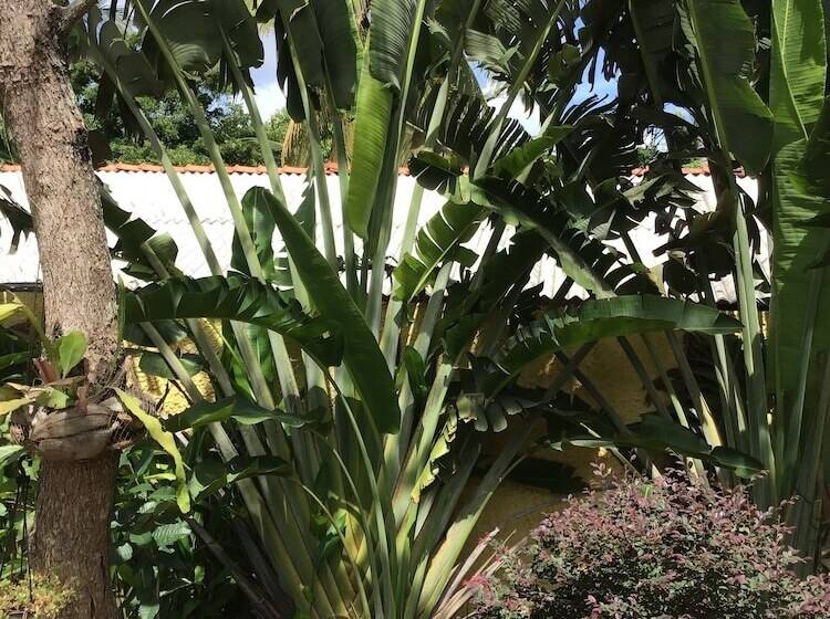 호텔 Beach Villa Lanka