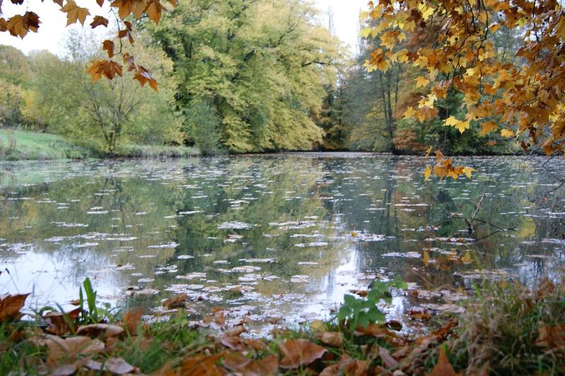 ホテル Chateau De La Bucherie