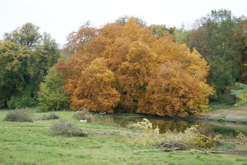 ホテル Chateau De La Bucherie
