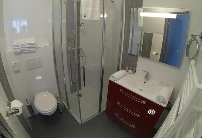 בית מלון כפרי L'aerogare Amboise