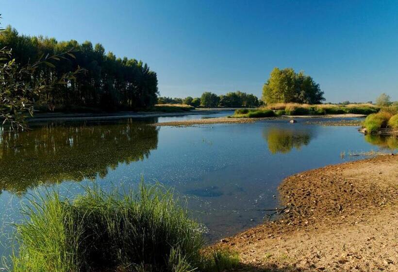 בית מלון כפרי L'aerogare Amboise