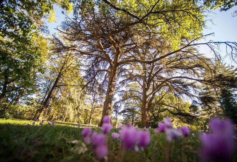 فندق Domaine De Montjoie   Toulouse   Bw Premier Collection