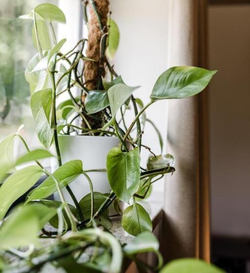 Отель Sommers Schöne Aussicht, Adults Only