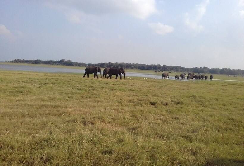 膳宿费 Elephant Safari Lodge Sigiriya Junction