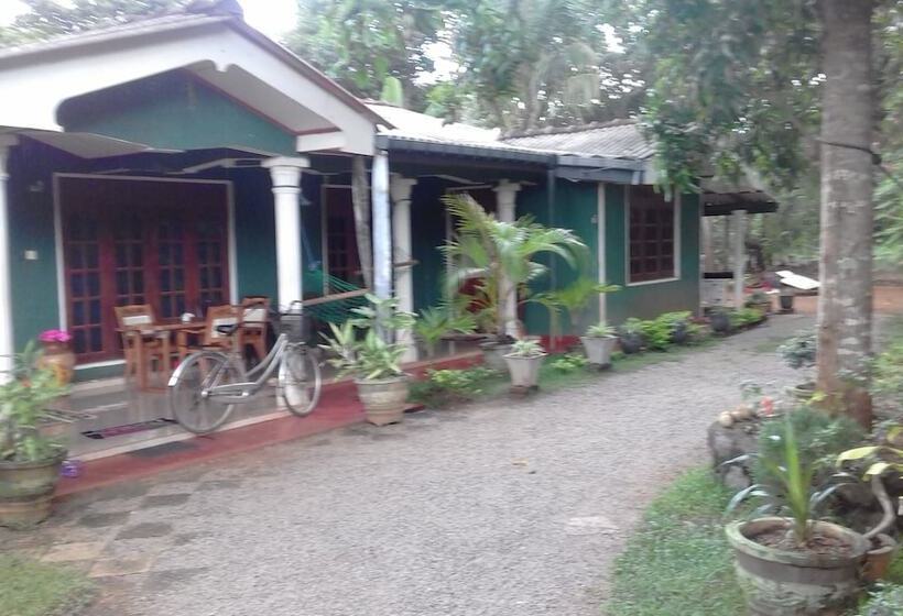 膳宿费 Elephant Safari Lodge Sigiriya Junction