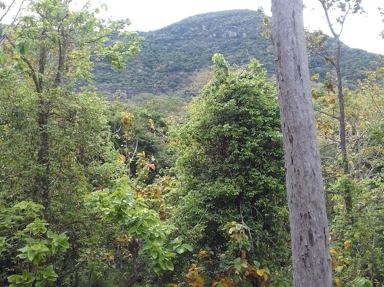 膳宿费 Elephant Safari Lodge Sigiriya Junction