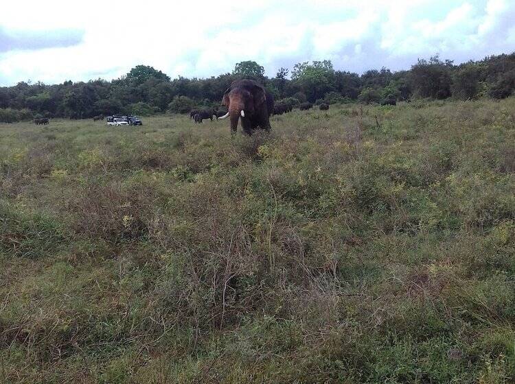 膳宿费 Elephant Safari Lodge Sigiriya Junction