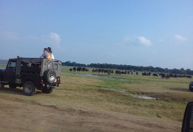 膳宿费 Elephant Safari Lodge Sigiriya Junction